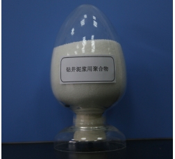 Polymer for drilling mud